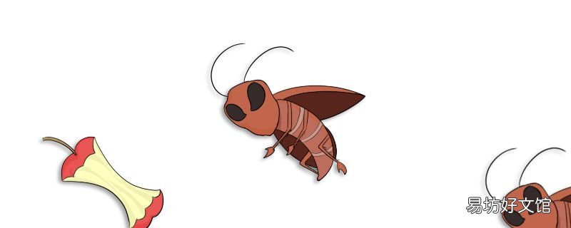蝙蝠对人有危害吗