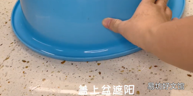 黑豆发芽配图教材