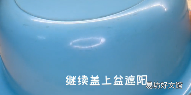 黑豆发芽配图教材