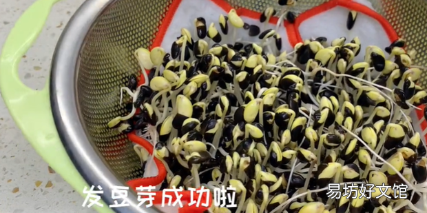 黑豆发芽配图教材