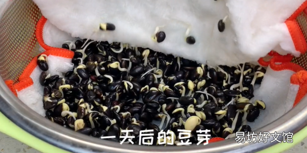 黑豆发芽配图教材