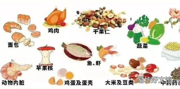 易腐垃圾怎么處理