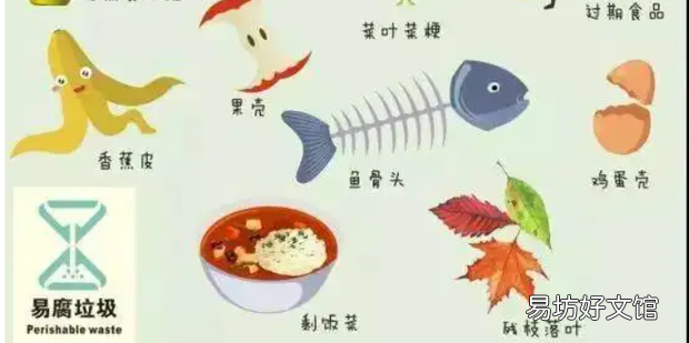 易腐垃圾怎么處理