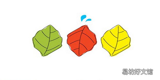 5S在管理中的作用