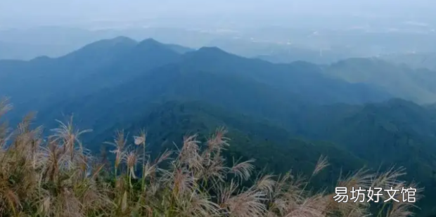 高明有什么好玩的景点