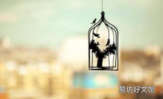 夫妻之间撒谎对婚姻破坏性极大!