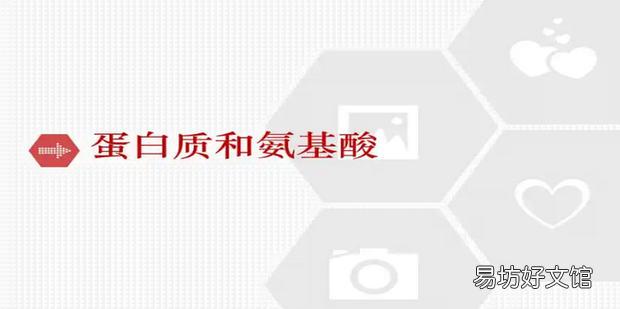 肽、蛋白质和氨基酸的区别