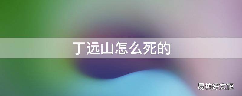 丁远山怎么死的
