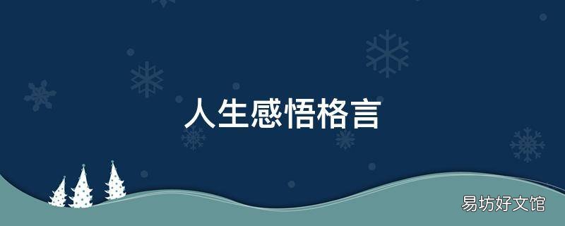 人生感悟格言