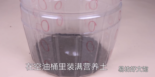 种蒜的方法及过程