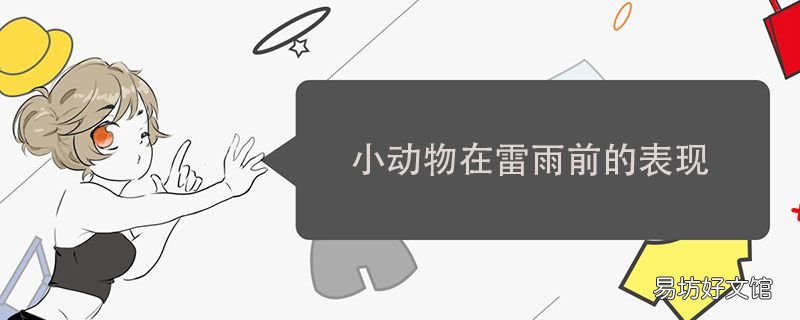 小动物在雷雨前的表现