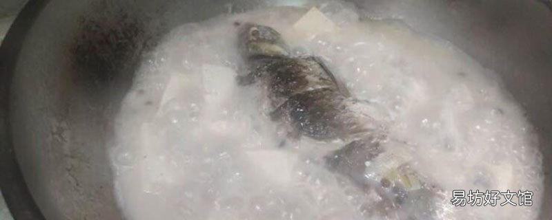 哪些人不宜吃巴浪鱼