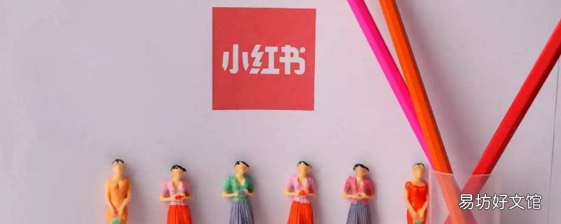 小红有访客记录吗