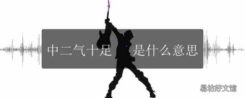 中二气十足是什么意思