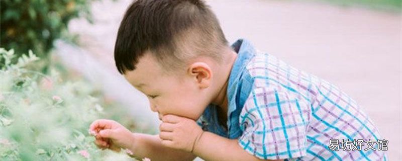 为什么头发长不长