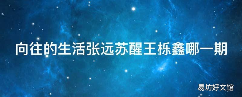 向往的生活张远苏醒王栎鑫哪一期