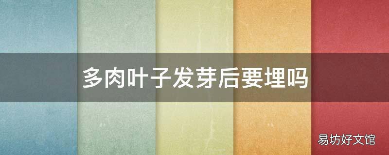 多肉叶子发芽后要埋吗