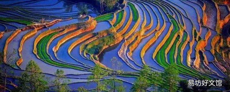 云南野生鳝鱼最多的地方