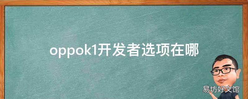oppok1开发者选项在哪