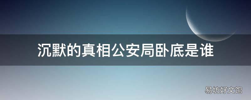 沉默的真相公安局卧底是谁