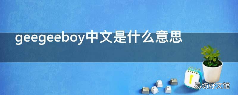 geegeeboy中文是什么意思