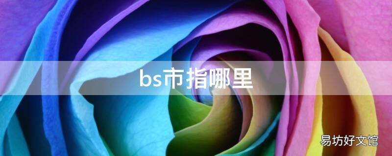 bs市指哪里