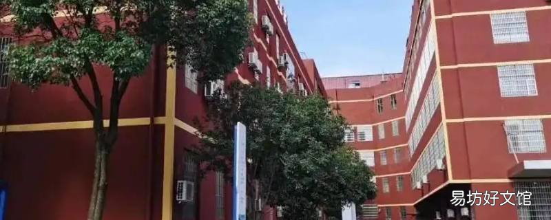 陈立农毕业于哪所大学