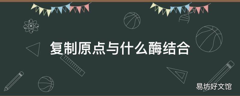 复制原点与什么酶结合