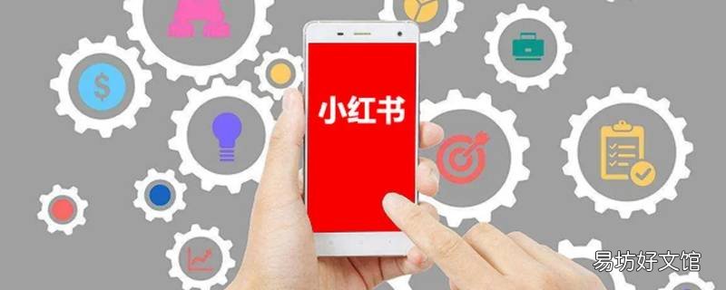 小红书评论被吞多久恢复