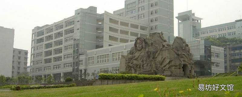 重庆护理职业学院可以考四六级吗