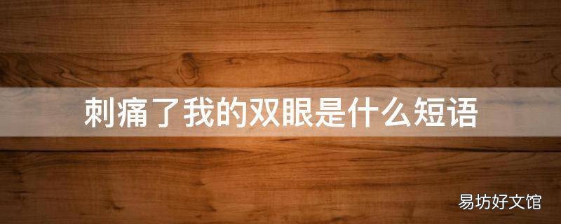 刺痛了我的双眼是什么短语