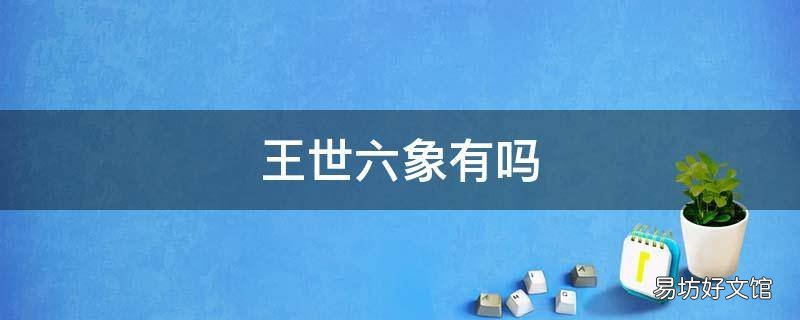 王世六象有吗