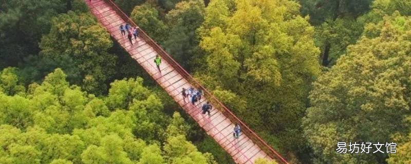 歌乐山森林公园晚上可以去吗