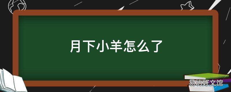 月下小羊怎么了
