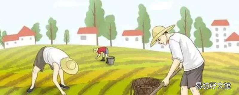 种地能手有什么称号