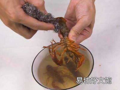 小龙虾怎么清洗