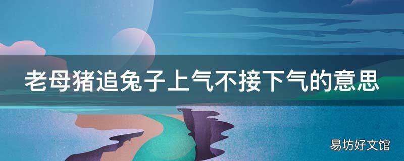 老母猪追兔子上气不接下气的意思
