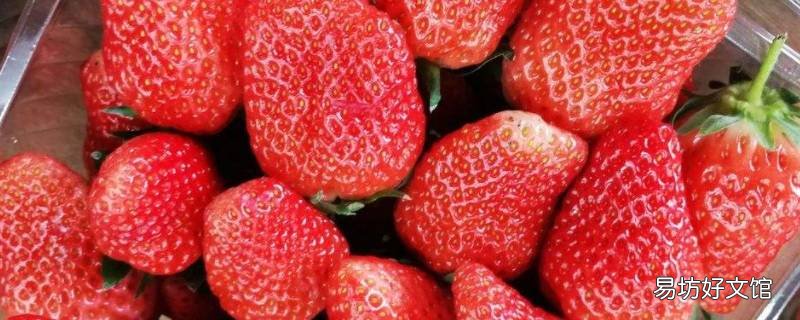 24个草莓大概几斤