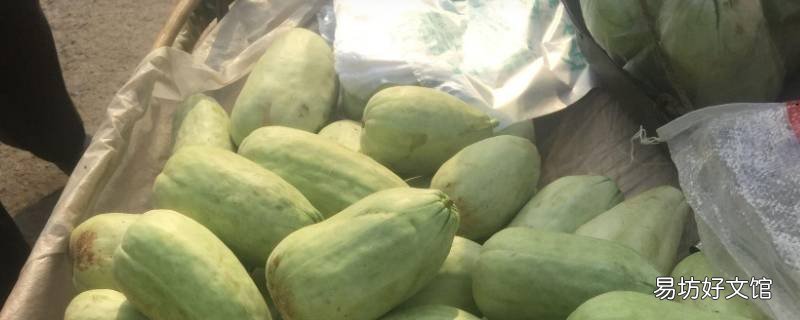 狼瓜是什么蔬菜