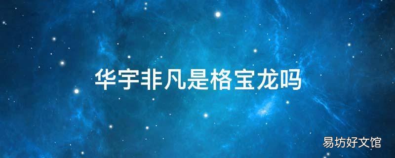 华宇非凡是格宝龙吗