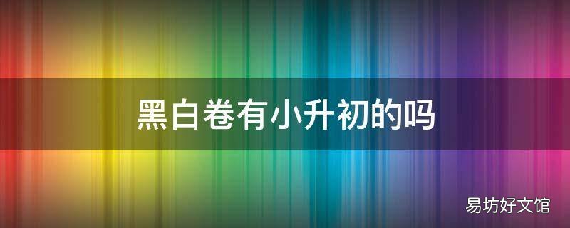 黑白卷有小升初的吗