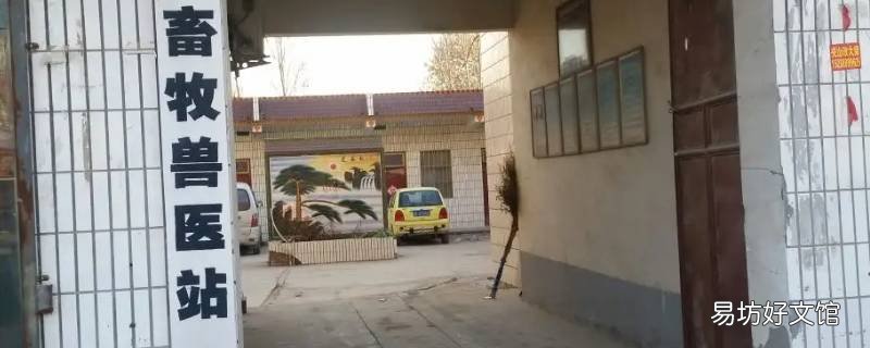 烏魯木齊獸醫站賣鳥的幾點關門