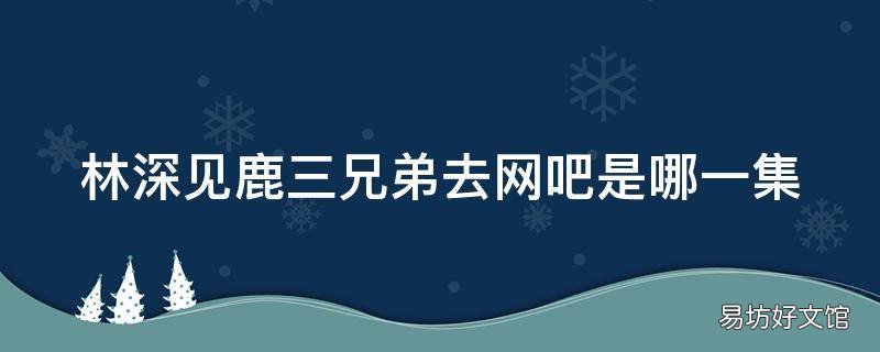 林深见鹿三兄弟去网吧是哪一集