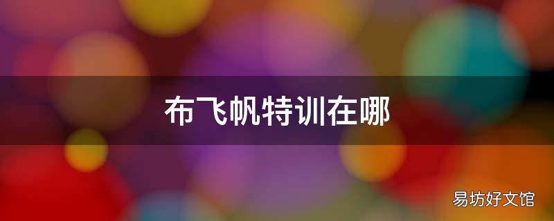 布飞帆特训在哪
