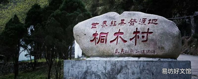 名侦探学院第五季桐木村在哪里