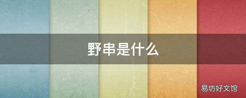 野串是什么