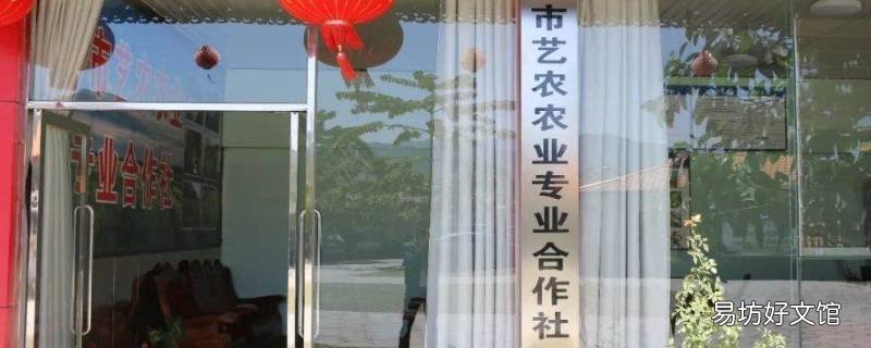 合作社代开发票可以吗