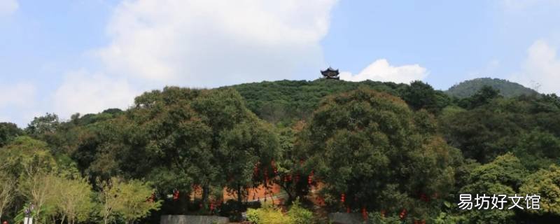 大王山可以办停车月卡吗