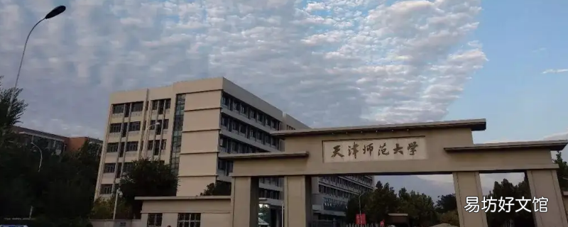 天津师范大学文学院高级职称比例