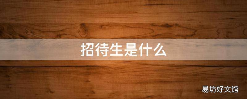 招待生是什么
